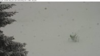 Archived image Webcam Ski Village Garfrescha 09:00