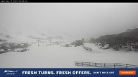 Archiv Foto Webcam Perisher: Blue Cow 07:00