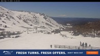 Archiv Foto Webcam Perisher: Blue Cow 11:00