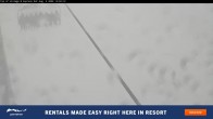 Archiv Foto Webcam Perisher: Village 8 Express 13:00