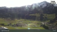 Archiv Foto Webcam Zöblen - Obere Halde 10:00