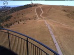 Archiv Foto Webcam Feldberg: Seebuck Bergstation 11:00