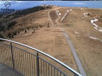 Archiv Foto Webcam Feldberg: Seebuck Bergstation 11:00