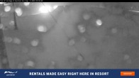 Archiv Foto Webcam Perisher: Village Eight 01:00