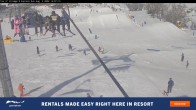Archiv Foto Webcam Perisher: Village Eight 13:00