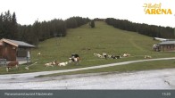 Archived image Webcam Zillertal Arena: Panoramic Restaurant Filzsteinalm 12:00