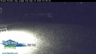 Archiv Foto Webcam Black Forest Day Lodge 02:00