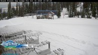 Archiv Foto Webcam Black Forest Day Lodge 11:00