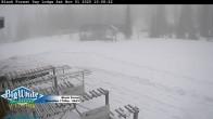 Archiv Foto Webcam Black Forest Day Lodge 09:00