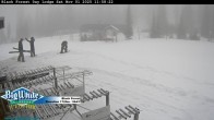 Archiv Foto Webcam Black Forest Day Lodge 13:00