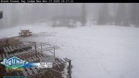 Archiv Foto Webcam Black Forest Day Lodge 10:00