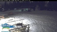 Archiv Foto Webcam Black Forest Day Lodge 14:00