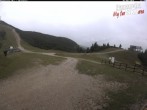 Archiv Foto Webcam Paganella: Skischule Rindole 11:00
