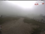 Archiv Foto Webcam Paganella: Skischule Rindole 13:00