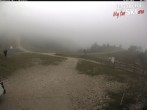 Archived image Webcam Paganella: Ski School Rindole 08:00