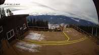 Archiv Foto Webcam Revelstoke Mountain Resort: Mackenzie Outpost 14:00