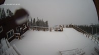 Archived image Webcam Revelstoke Mountain Resort - Mackenzie Outpost Gondola 10:00