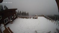 Archiv Foto Webcam Revelstoke Mountain Resort: Mackenzie Outpost 11:00