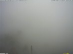 Archived image Webcam mountain restaurant Bärenfang 11:00