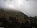 Archiv Foto Webcam Sattel-Hochstuckli: Bergrestaurant Bärenfang 11:00