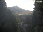 Archived image Webcam Sun deck Wellness Hütte Heidialm at Falkert 11:00