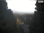 Archived image Webcam Sun deck Wellness Hütte Heidialm at Falkert 11:00