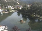Archived image Webcam Puchberg park 15:00