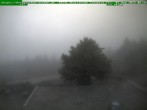 Archiv Foto Webcam Brotterode 05:00