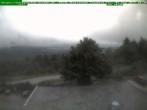 Archiv Foto Webcam Brotterode 09:00