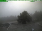 Archiv Foto Webcam Brotterode 05:00