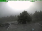 Archiv Foto Webcam Brotterode 13:00