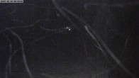 Archived image Webcam Deer Park in Bridger Bowl Ski Resort 23:00