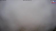 Archived image Webcam Großer Arber mountain (east) 09:00