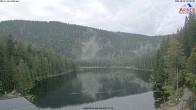 Archived image Webcam Lake "Großer Arbersee" 06:00