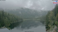 Archived image Webcam Lake "Großer Arbersee" 09:00