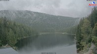 Archiv Foto Webcam Großer Arbersee 17:00