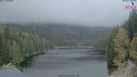 Archiv Foto Webcam Großer Arbersee 07:00