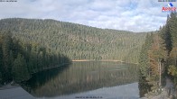 Archived image Webcam Lake "Großer Arbersee" 08:00