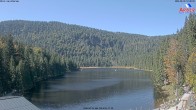 Archived image Webcam Lake "Großer Arbersee" 11:00