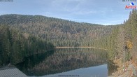 Archiv Foto Webcam Großer Arbersee 09:00
