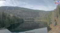Archiv Foto Webcam Großer Arbersee 11:00
