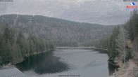 Archived image Webcam Lake "Großer Arbersee" 15:00