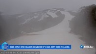 Archived image Webcam Mt Buller - Slope Little Buller Spur 00:00