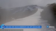 Archiv Foto Webcam Mt Buller: Abfahrt Little Buller Spur 09:00