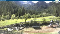 Archived image Webcam Gernalm close to Pertisau 13:00