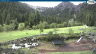 Archiv Foto Webcam Gernalm bei Pertisau 11:00