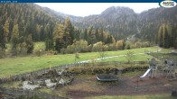 Archived image Webcam Gernalm close to Pertisau 11:00