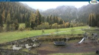 Archived image Webcam Gernalm close to Pertisau 13:00