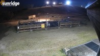 Archiv Foto Webcam Sunridge Bunny Hill - Blick vom Chalet im Tal 05:00