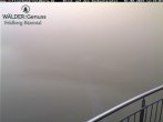 Archiv Foto Webcam Feldberg: Sesselbahn Seebuck 11:00